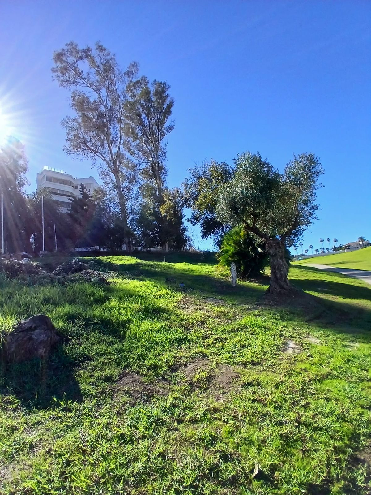Plot for Sale in Guadalmina Alta — 4