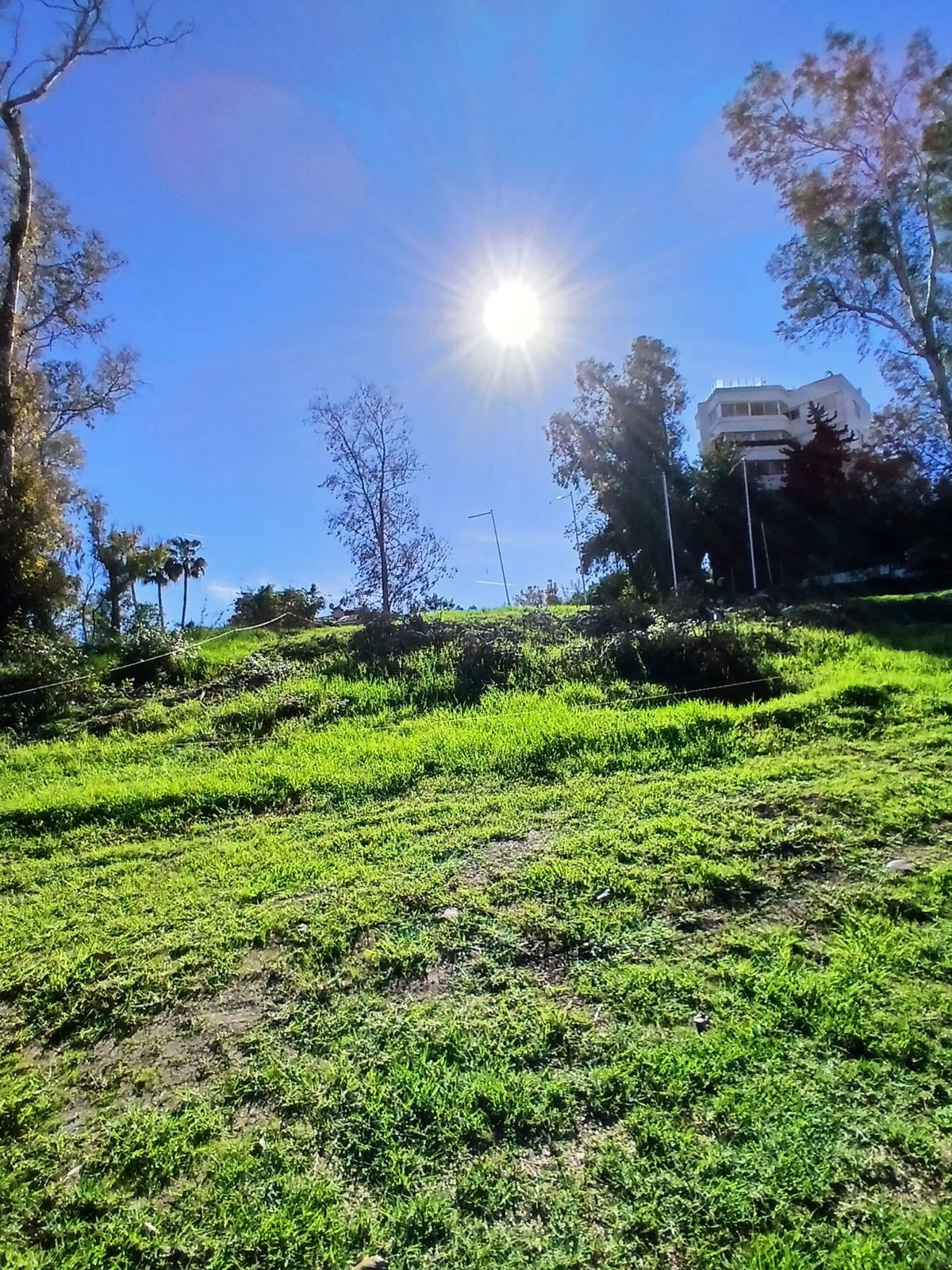 Plot for Sale in Guadalmina Alta — 5