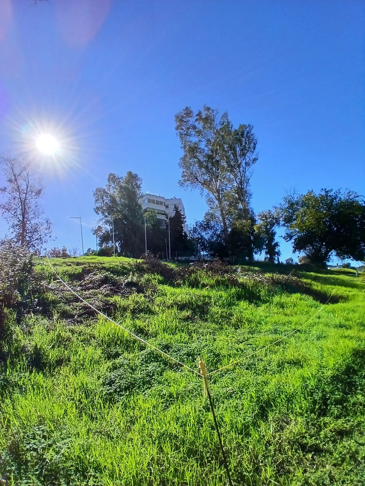 Plot for Sale in Guadalmina Alta — 6