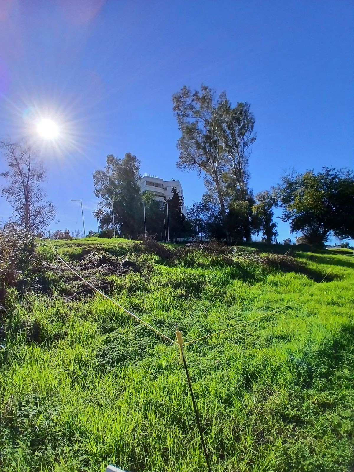Plot for Sale in Guadalmina Alta — 8