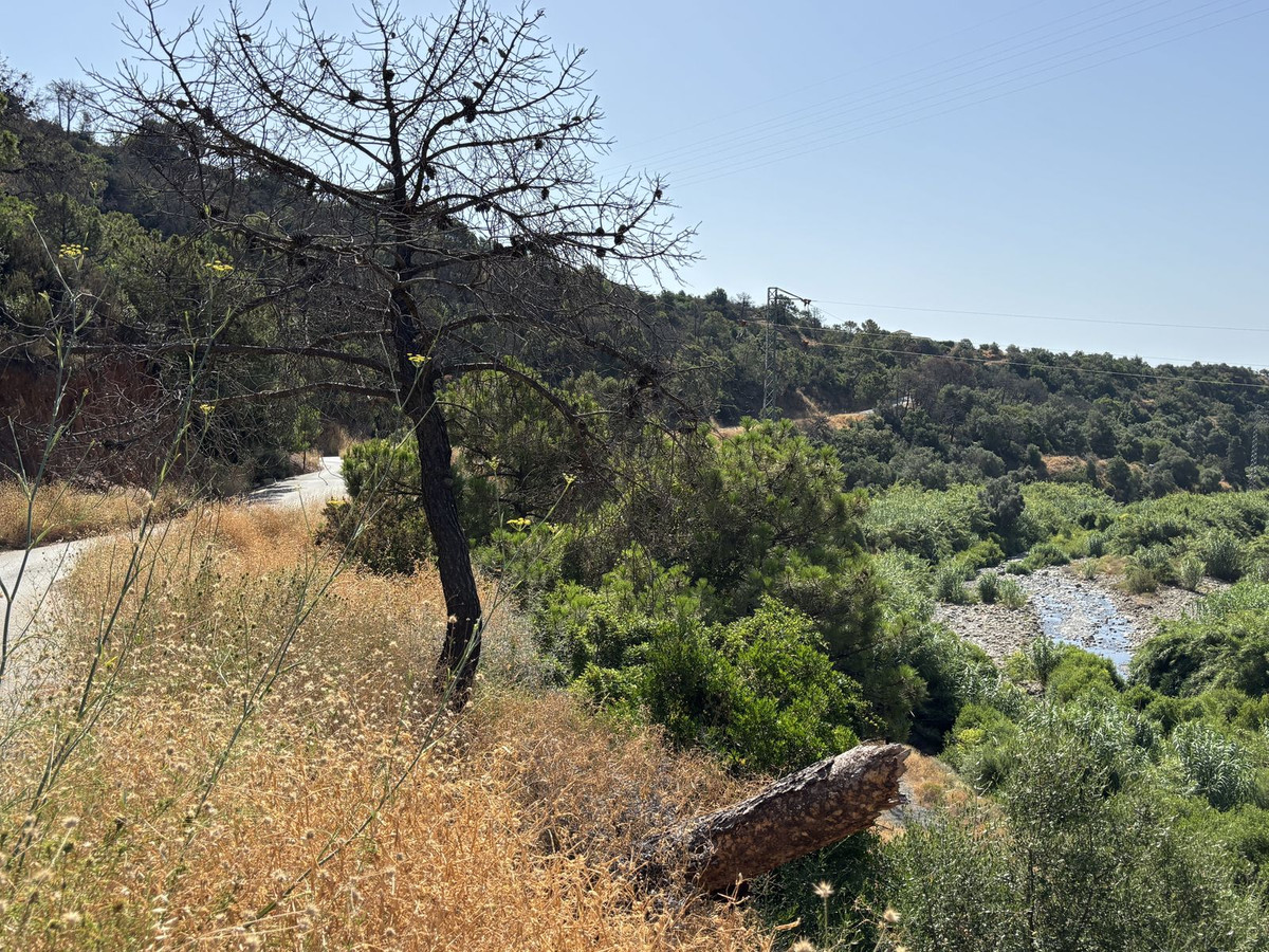 Plot for Sale in El Padron