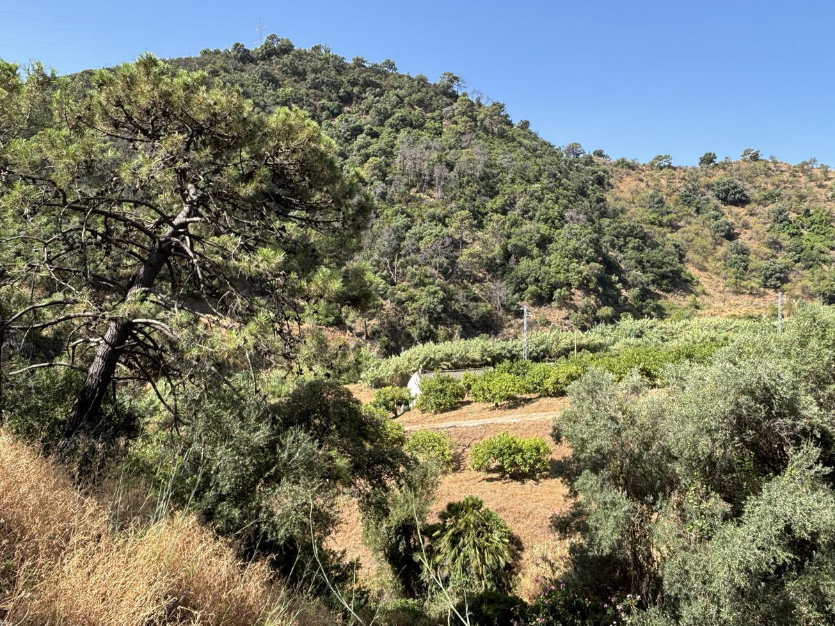 Plot for Sale in El Padron — 3