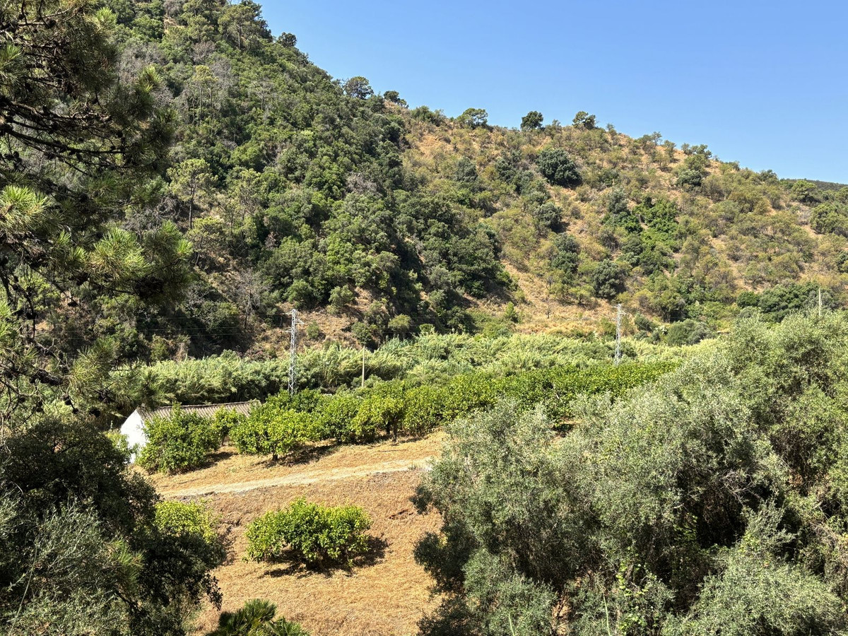 Plot for Sale in El Padron — 4