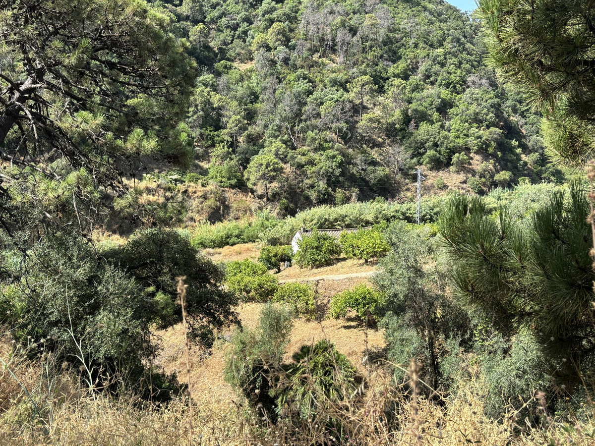 Plot for Sale in El Padron — 5