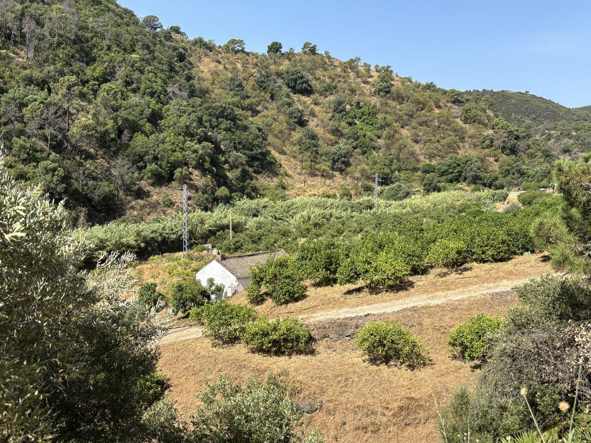 Plot for Sale in El Padron — 7