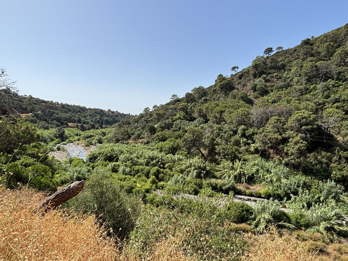 Plot for Sale in El Padron — 9