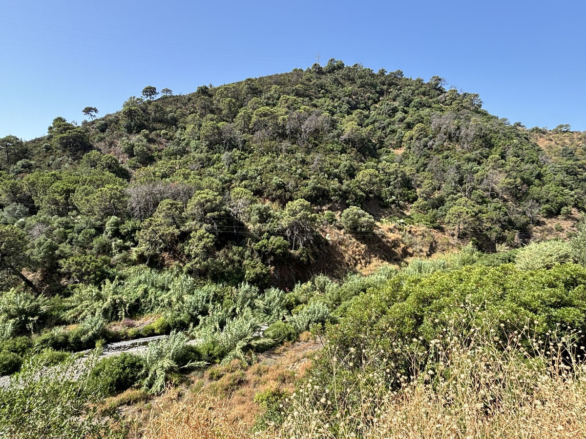 Plot for Sale in El Padron — view 10