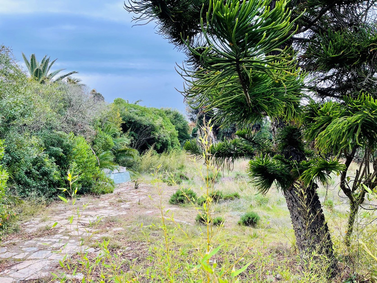 Plot for Sale in Estepona