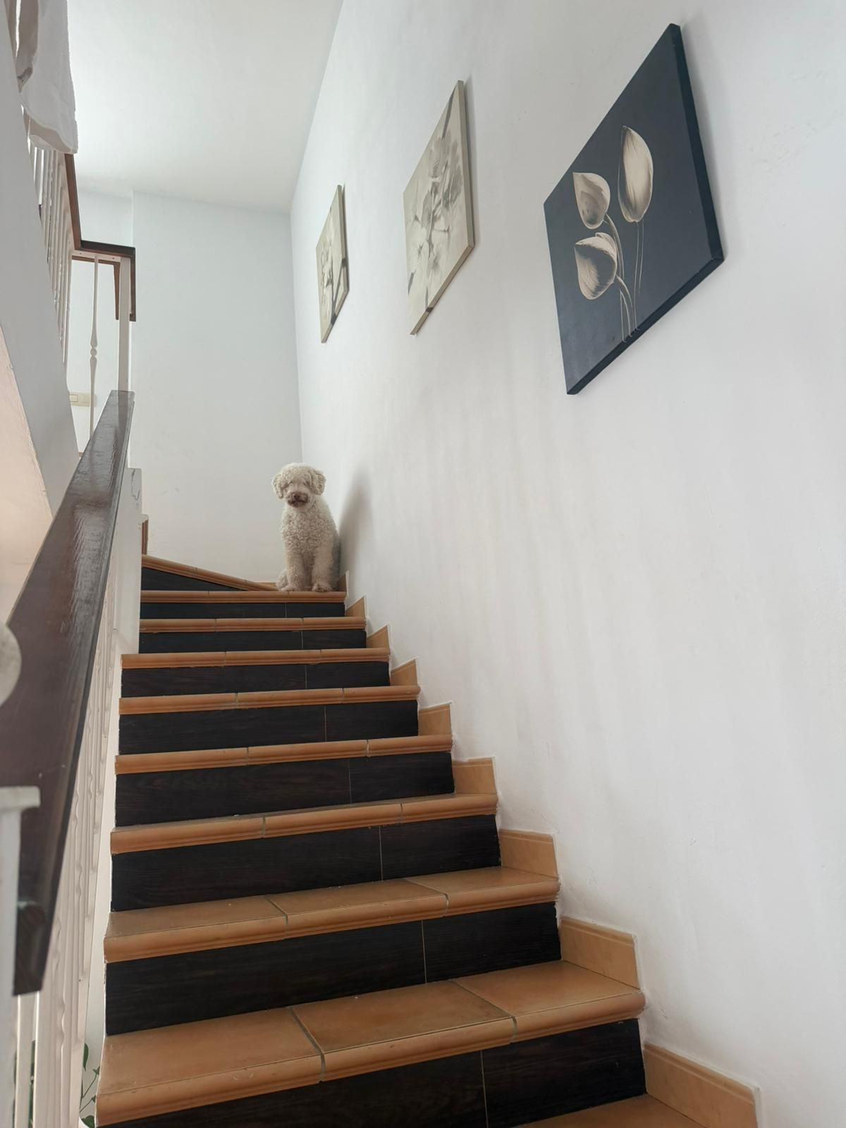 2 Bedroom Villa for Sale in Benahavís — 4