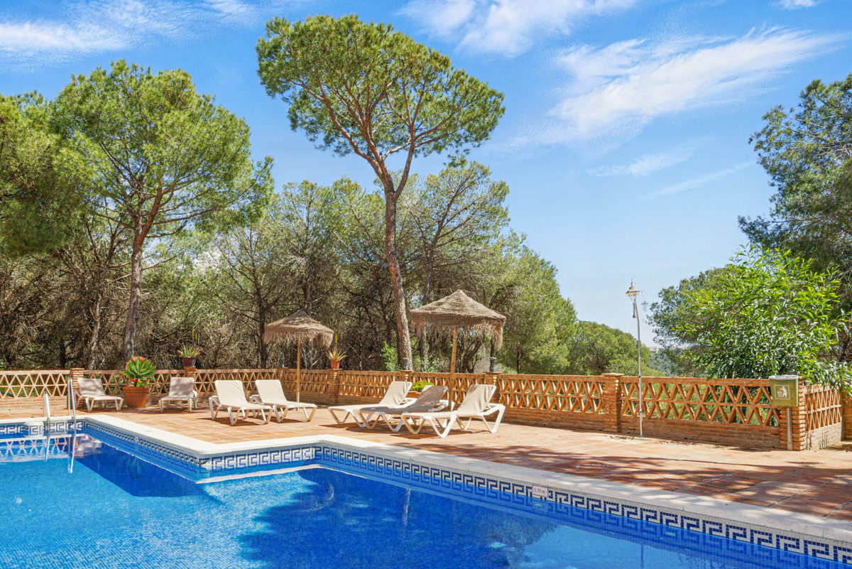 4 Bedroom Apartment for Sale in Nueva Andalucía