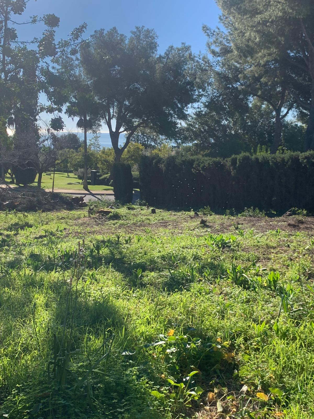 Plot for Sale in The Golden Mile — 2