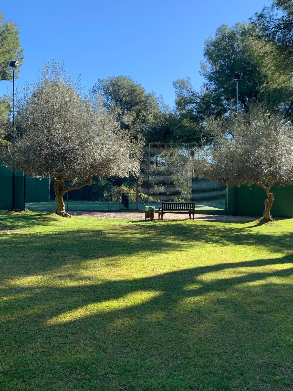 Plot for Sale in The Golden Mile — 5