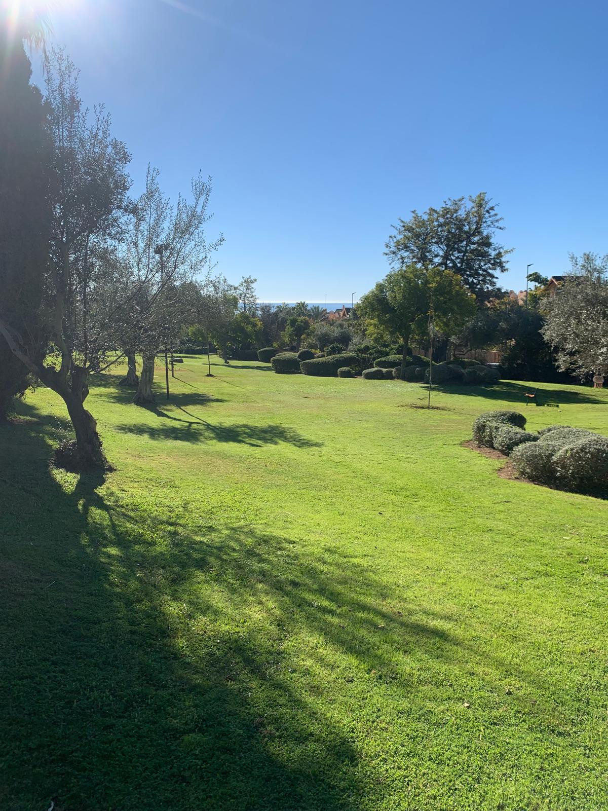 Plot for Sale in The Golden Mile — 7