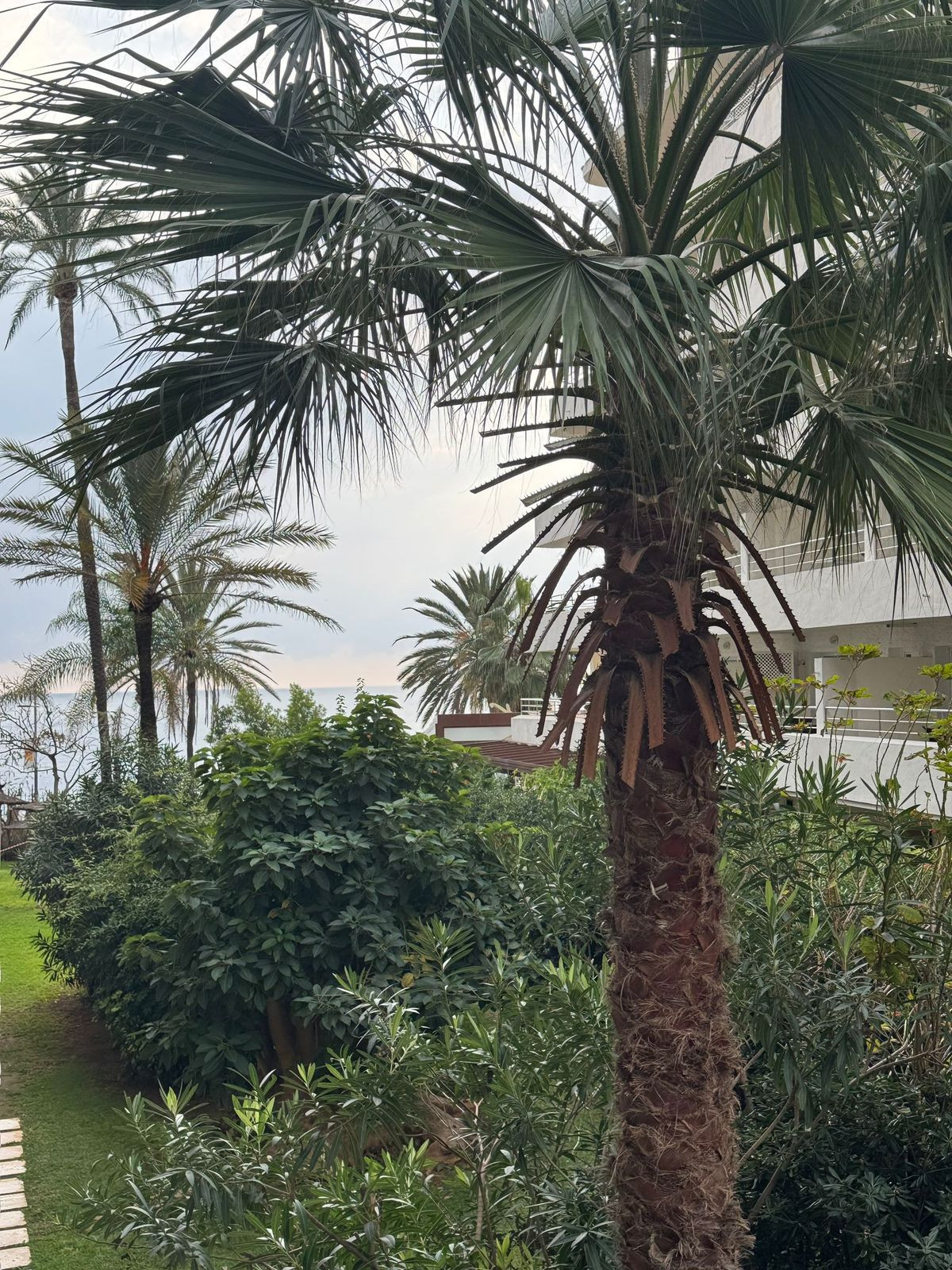 1 Bedroom Apartment for Sale in Marbella — 5