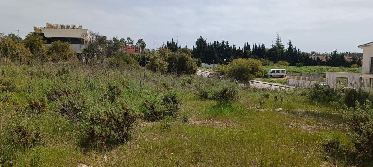 Plot for Sale in The Golden Mile