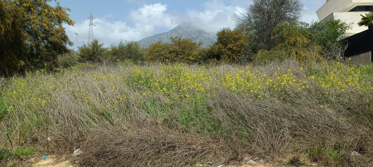 Plot for Sale in The Golden Mile — 3