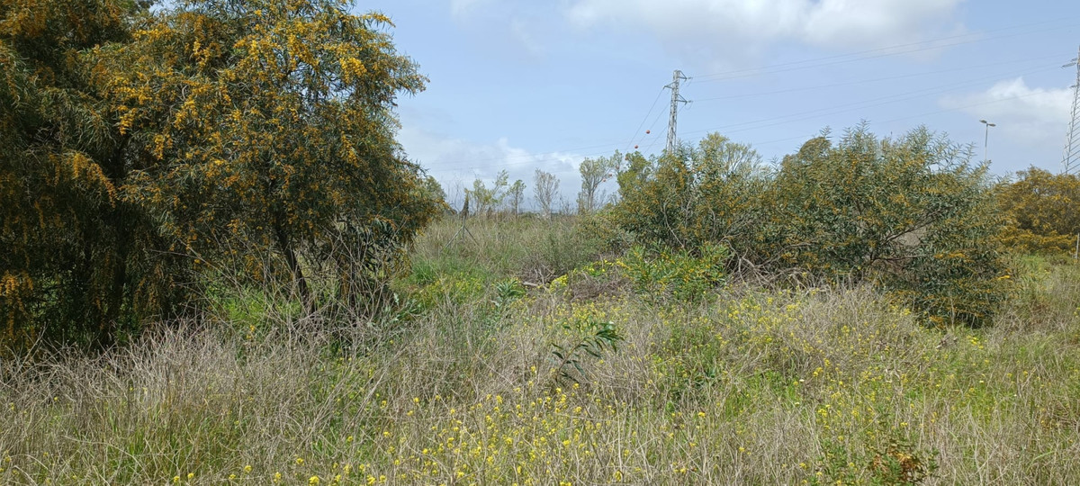 Plot for Sale in The Golden Mile — 4