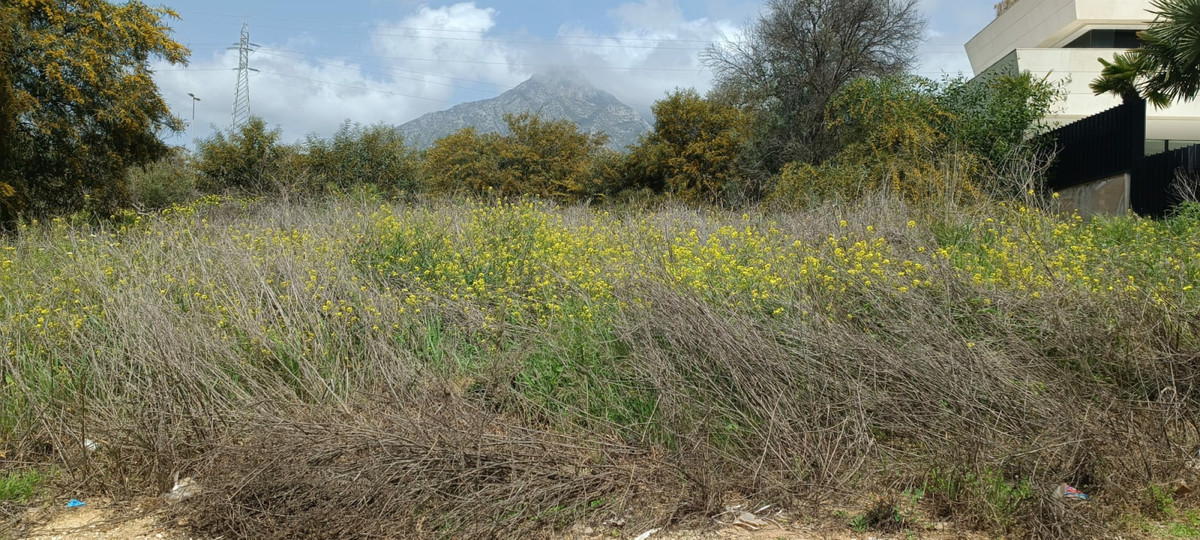 Plot for Sale in The Golden Mile — 5