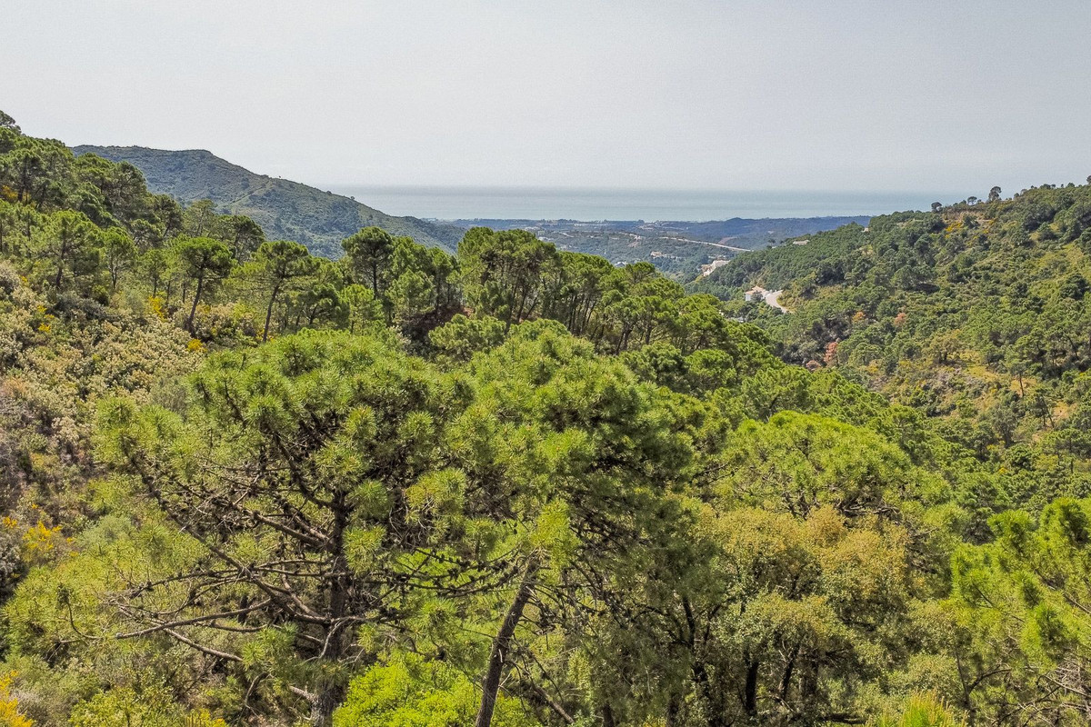 Plot for Sale in Benahavís — 5