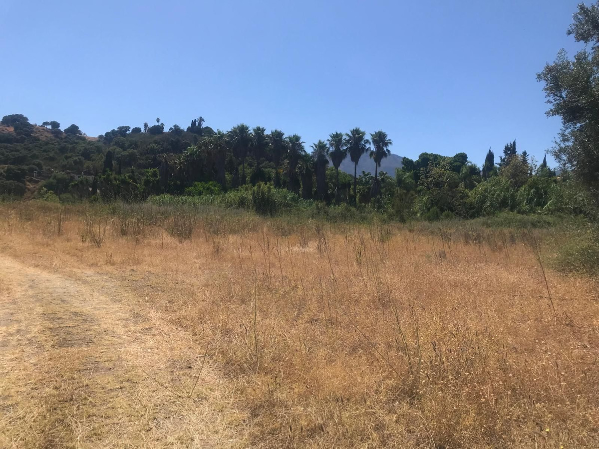 Plot for Sale in Estepona