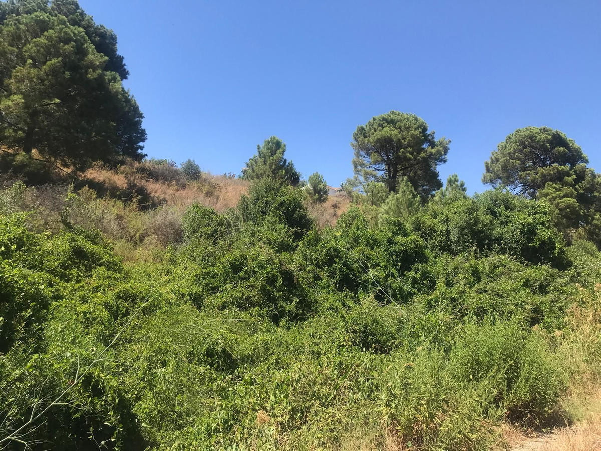 Plot for Sale in Estepona — 4