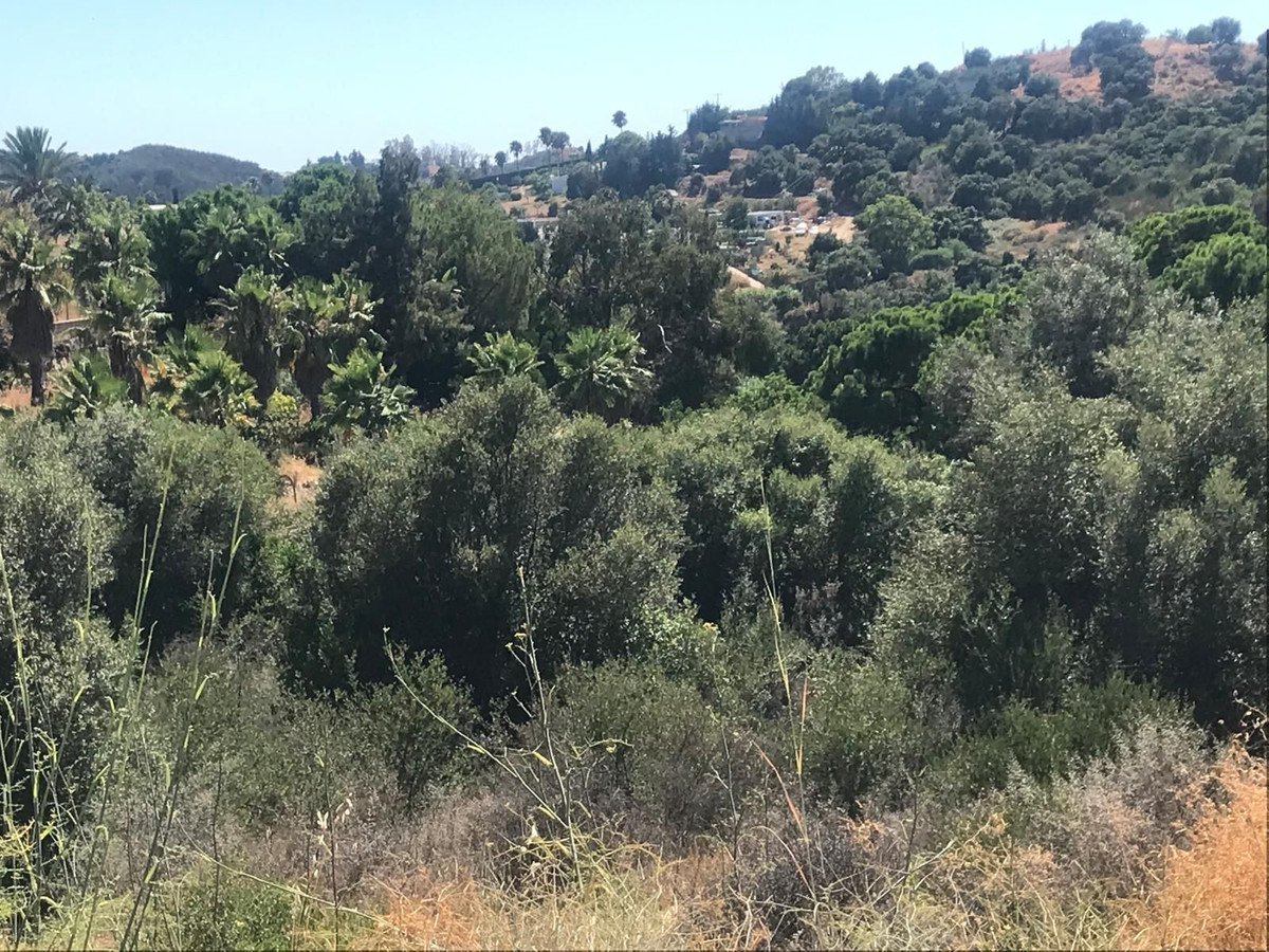 Plot for Sale in Estepona — 6