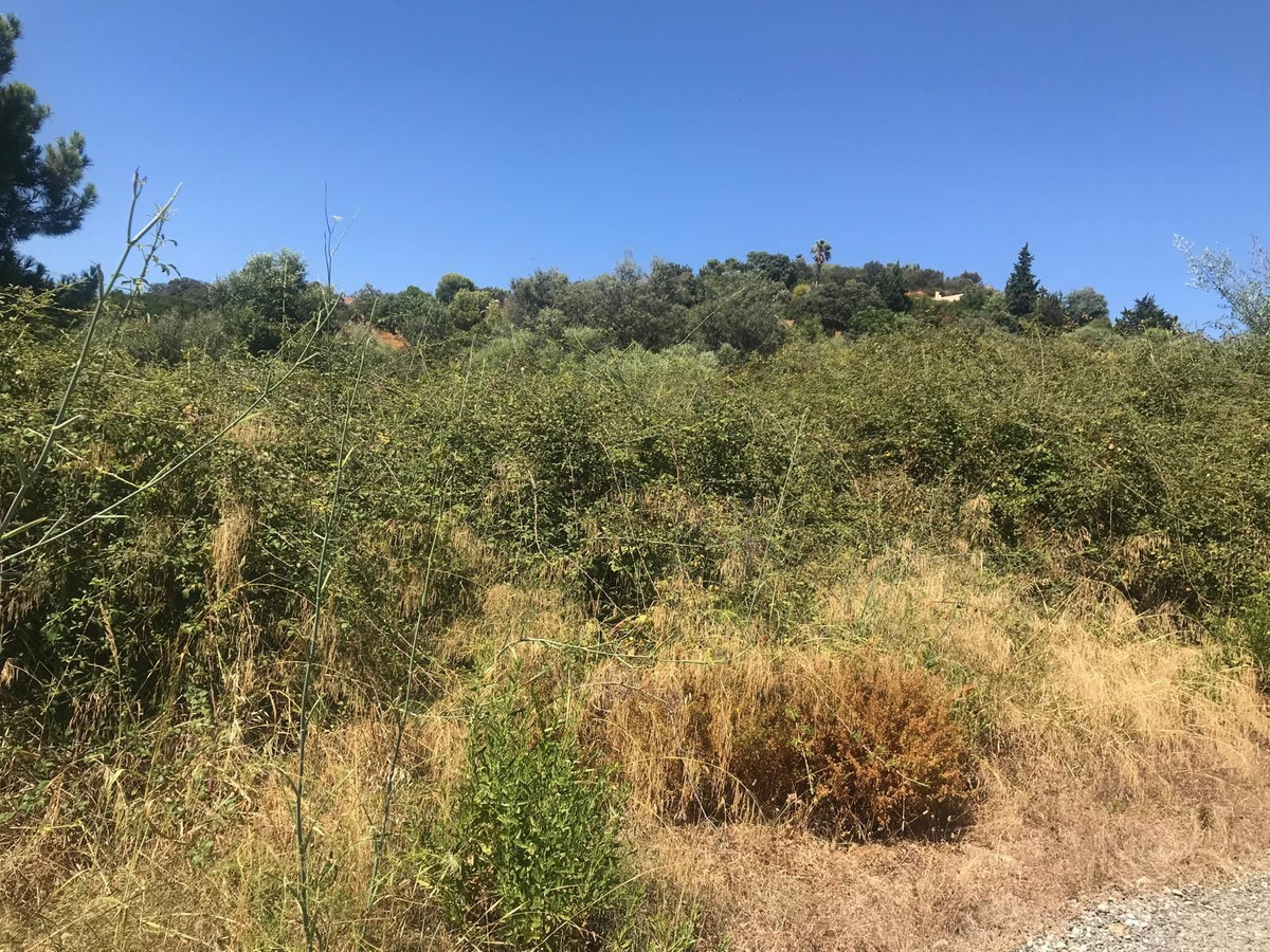 Plot for Sale in Estepona — 7