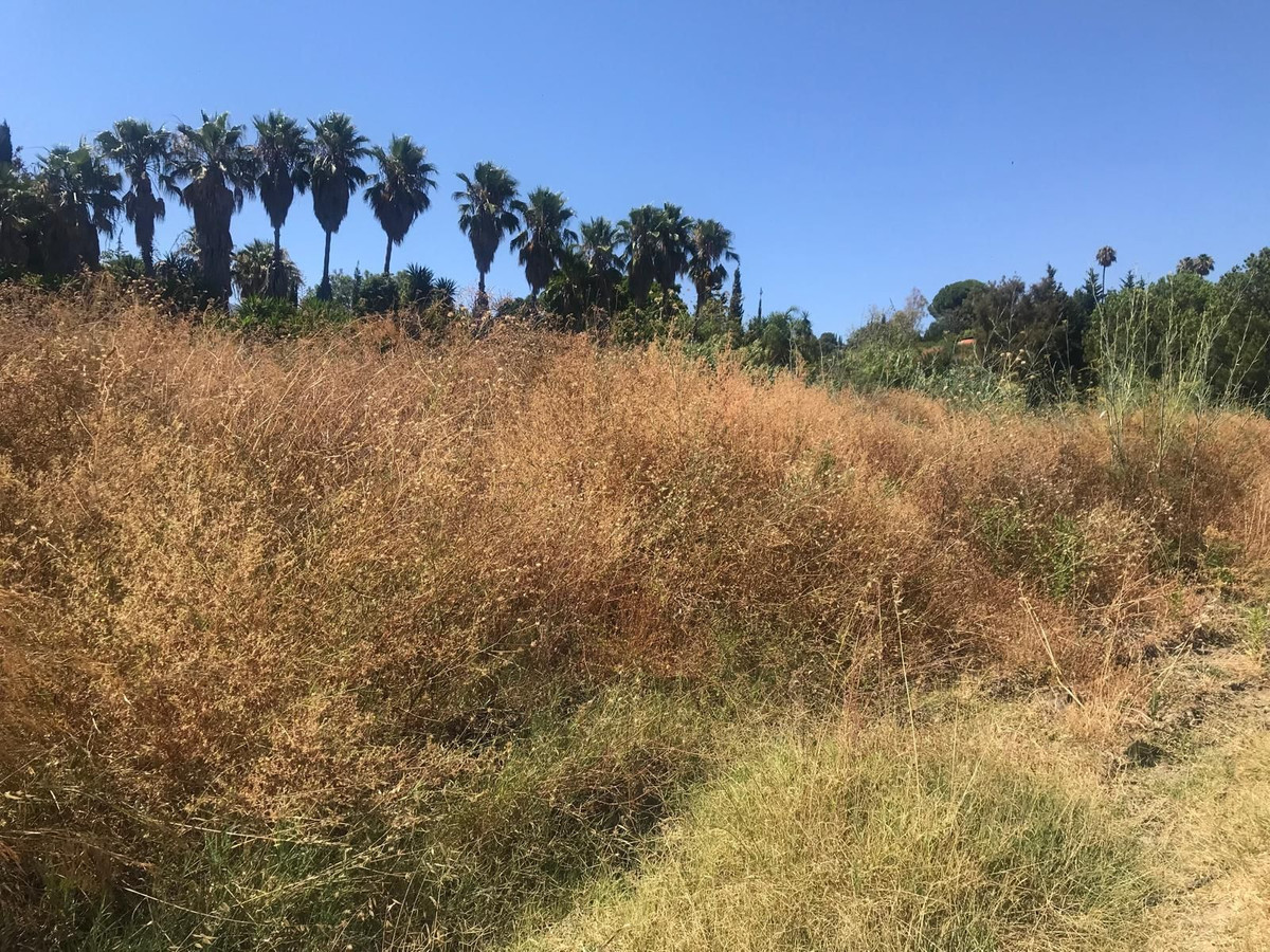 Plot for Sale in Estepona — 8
