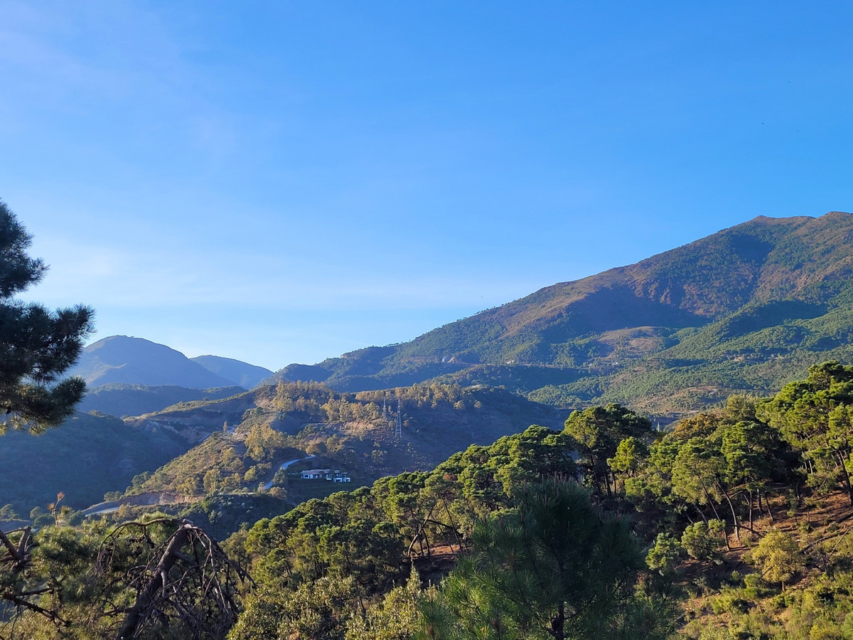 Plot for Sale in La Zagaleta