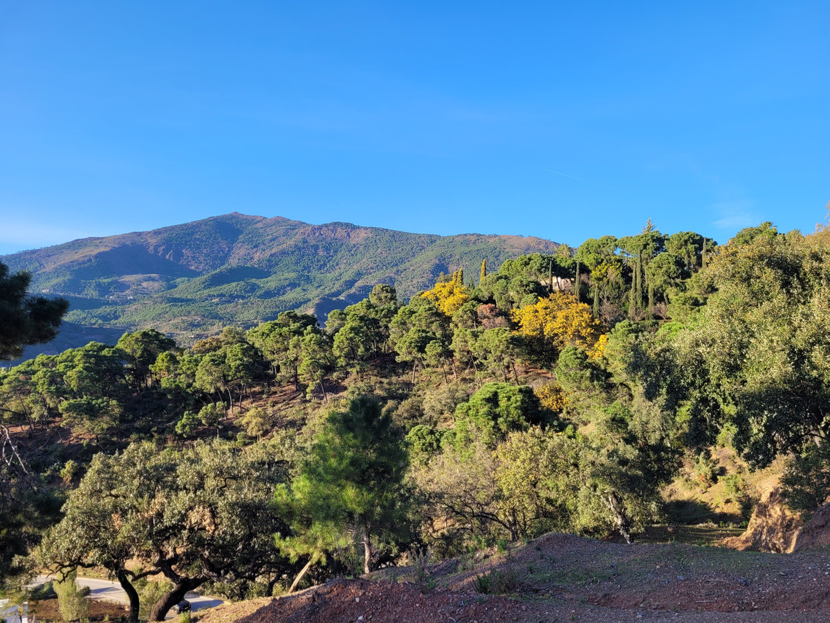 Plot for Sale in La Zagaleta — 3