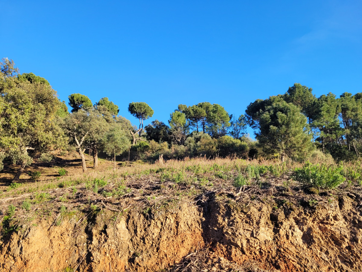 Plot for Sale in La Zagaleta — 6