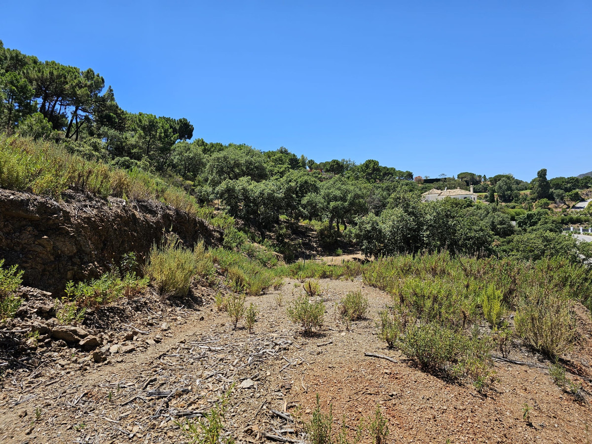 Plot for Sale in La Zagaleta — 7