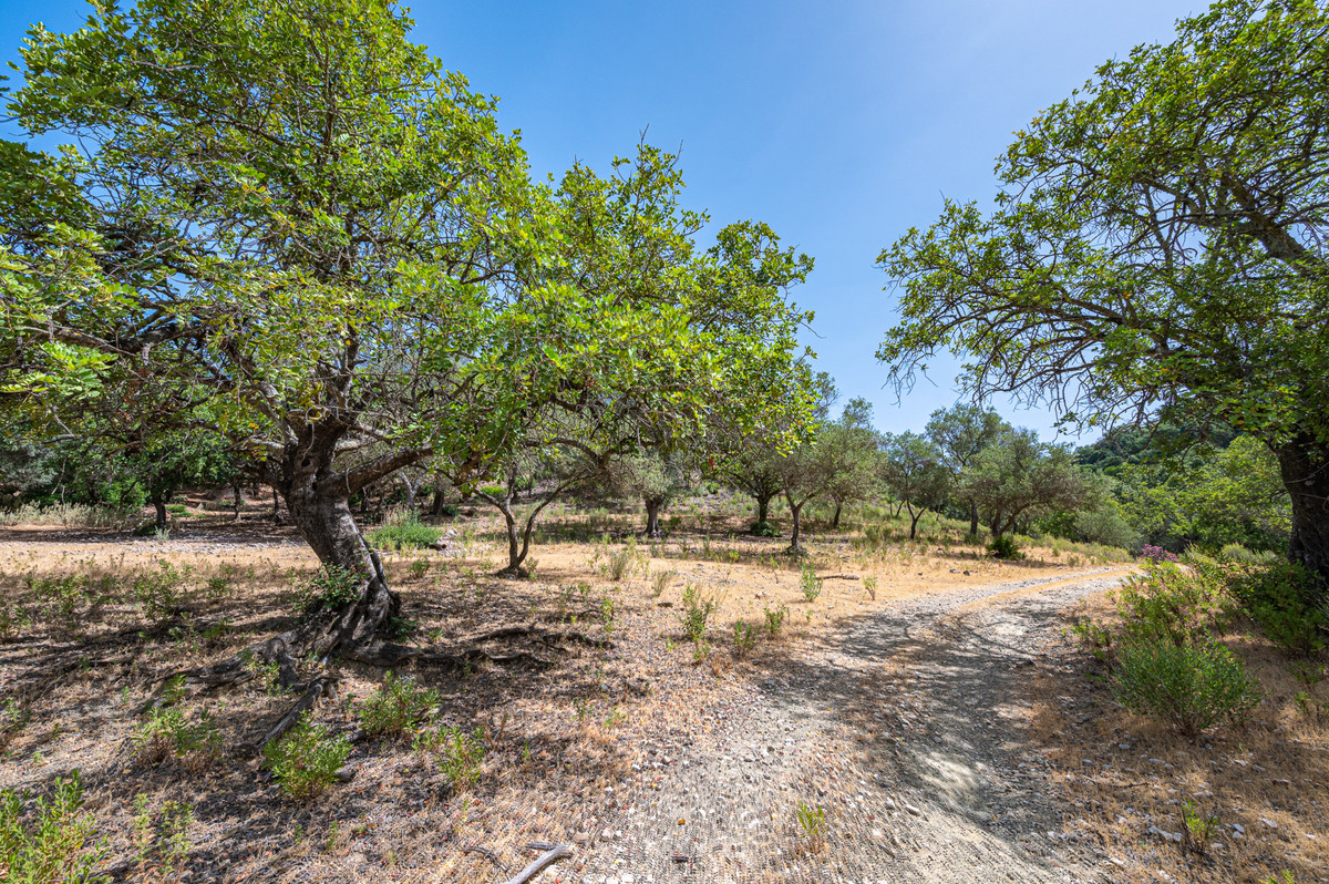 Plot for Sale in La Zagaleta — 5