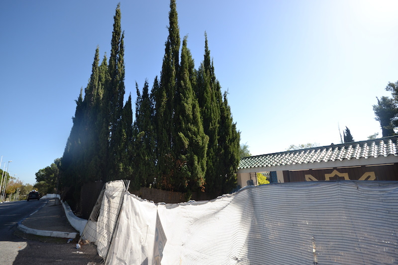 Plot for Sale in Sierra Blanca