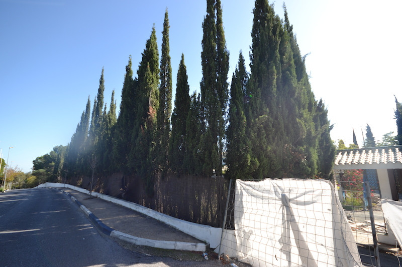 Plot for Sale in Sierra Blanca — 2