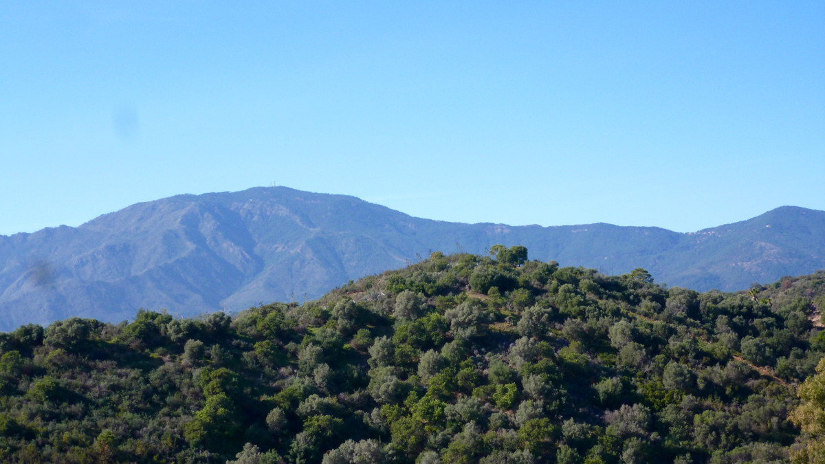 Plot for Sale in New Golden Mile — 5