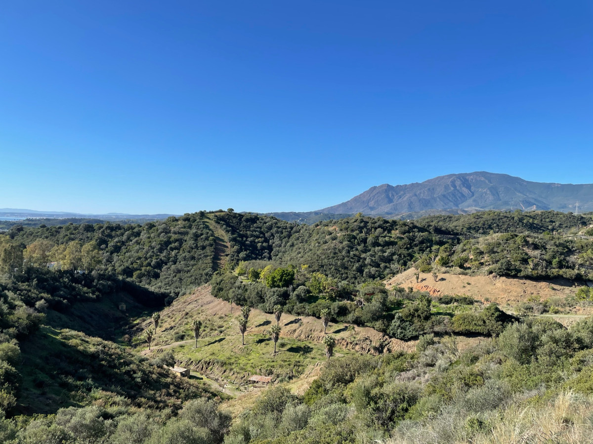 Plot for Sale in New Golden Mile — 6