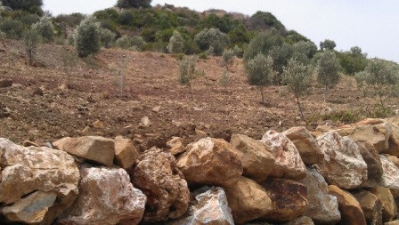 Plot for Sale in Estepona — 2