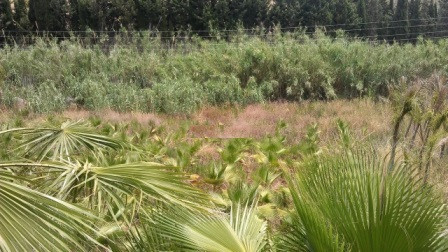 Plot for Sale in Estepona — 4