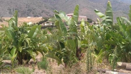 Plot for Sale in Estepona — 6