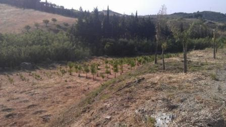 Plot for Sale in Estepona — 7