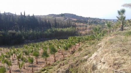 Plot for Sale in Estepona — 9