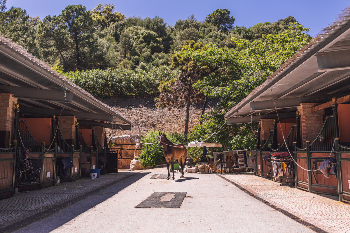 Plot for Sale in Benahavís — 7