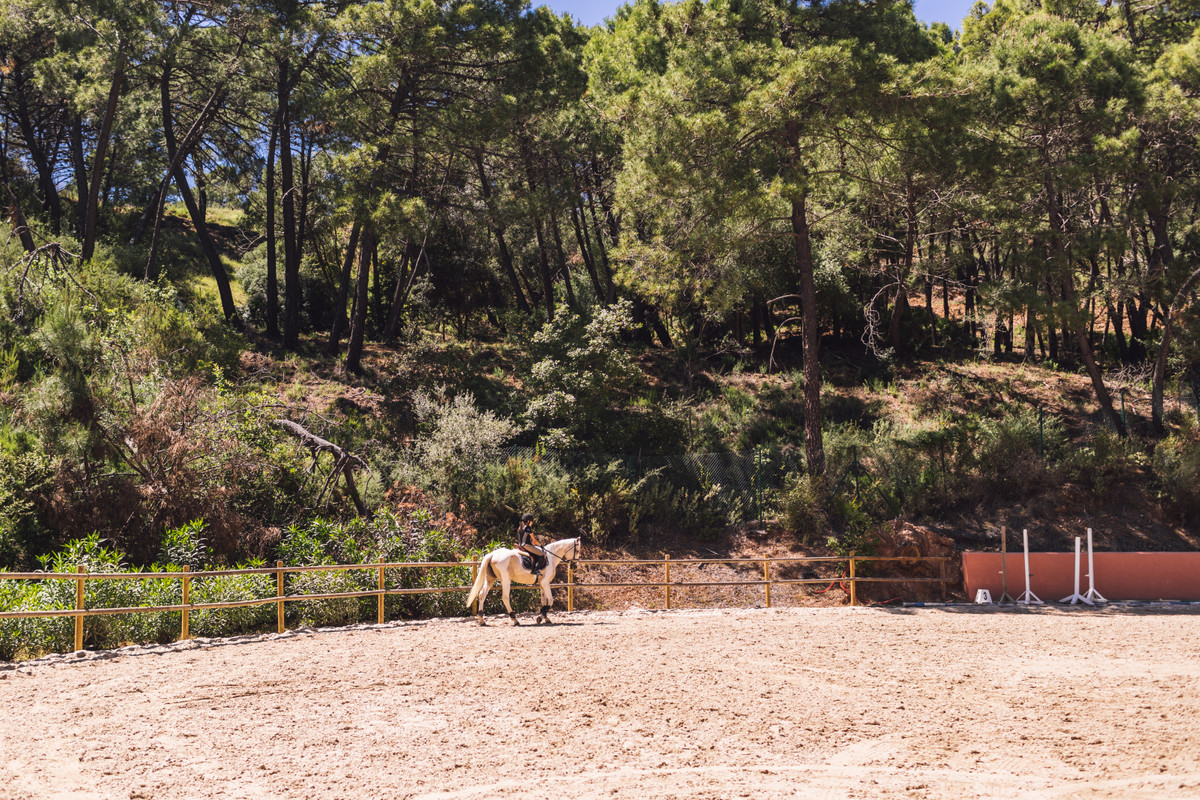 Plot for Sale in Benahavís — 9