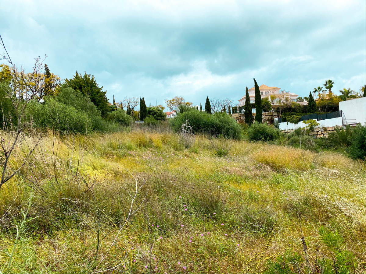 Plot for Sale in Los Flamingos — 3