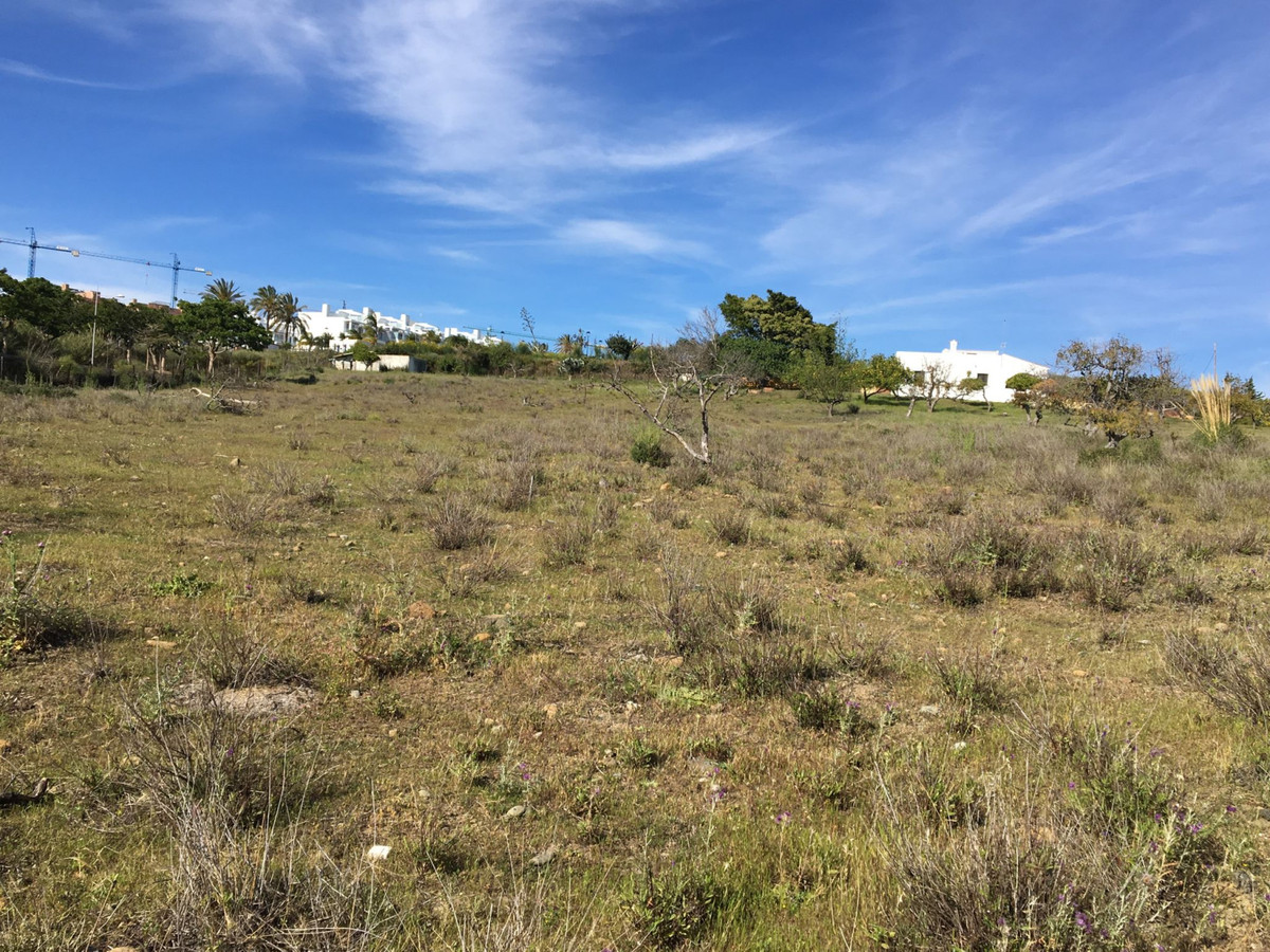 Plot for Sale in Cancelada