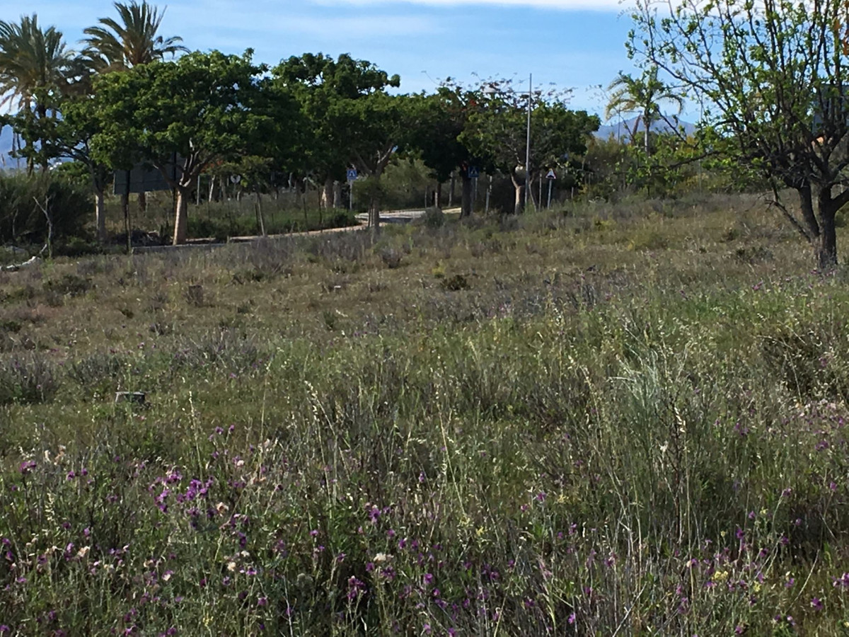 Plot for Sale in Cancelada — 2