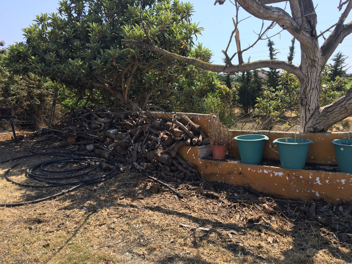 Plot for Sale in Cancelada — 3