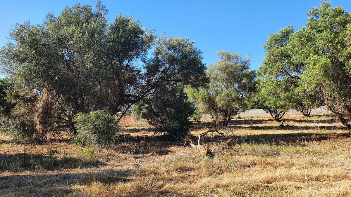 Plot for Sale in San Pedro de Alcántara