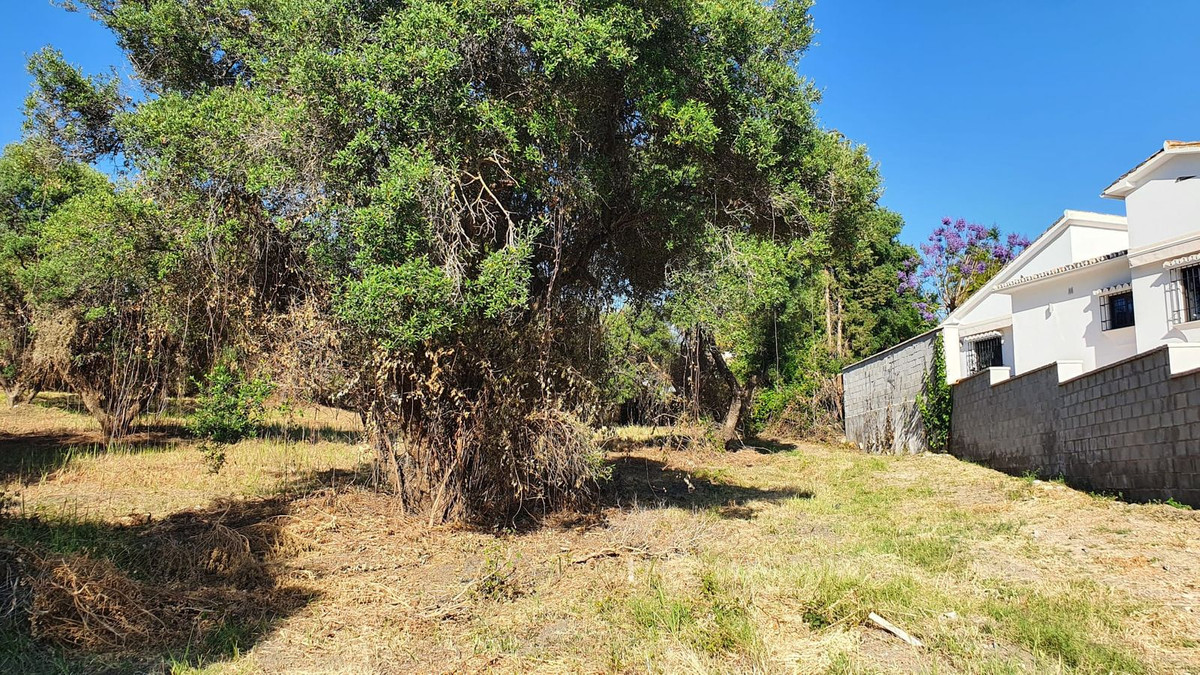 Plot for Sale in San Pedro de Alcántara — 3